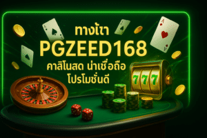 ทางเข้า PGZEED168